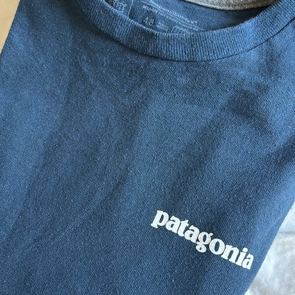 Patagonia Men's P-6 Logo Responsibili-Tee - Picture 7 of 7